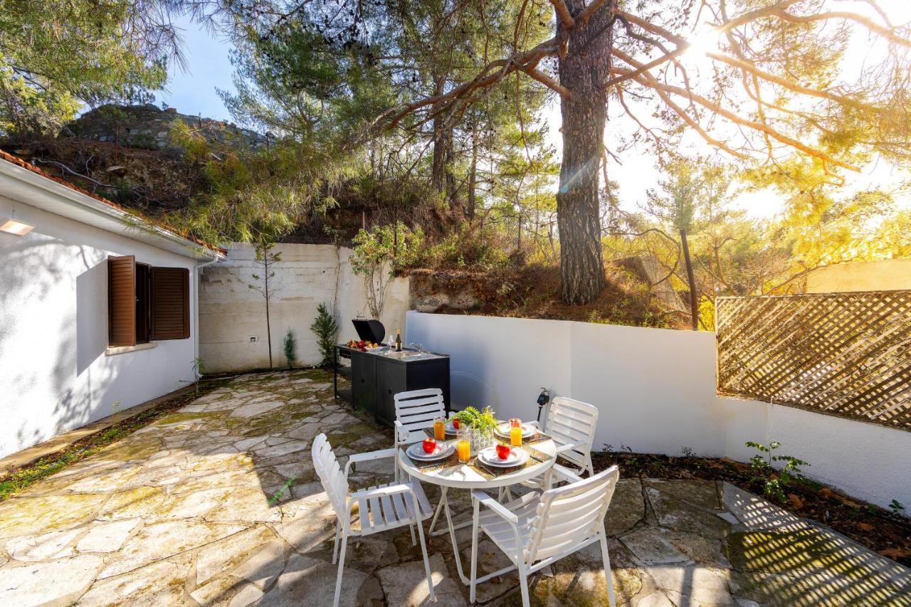 Villa Forty Pine Trees