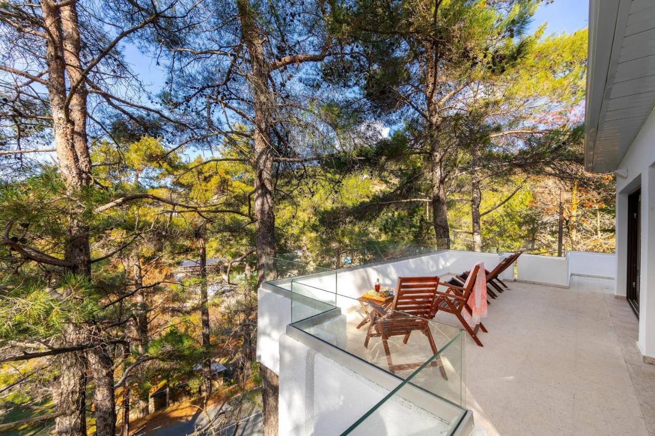 Forty Pine Trees * Platres
